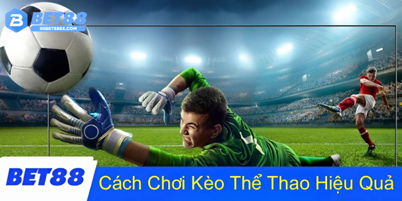 Những chương trình ưu đãi hấp dẫn mà có thể bạn chưa biết