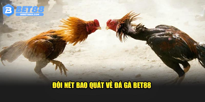 Giới thiệu chung về sân chơi đá gà Bet88