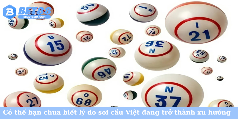 Có thể bạn chưa biết lý do soi cầu Việt đang trở thành xu hướng