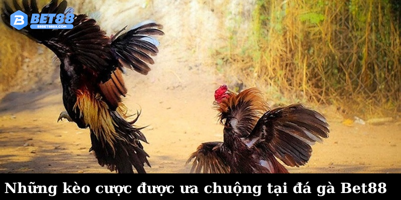 Những kèo cược được ưa chuộng tại đá gà Bet88